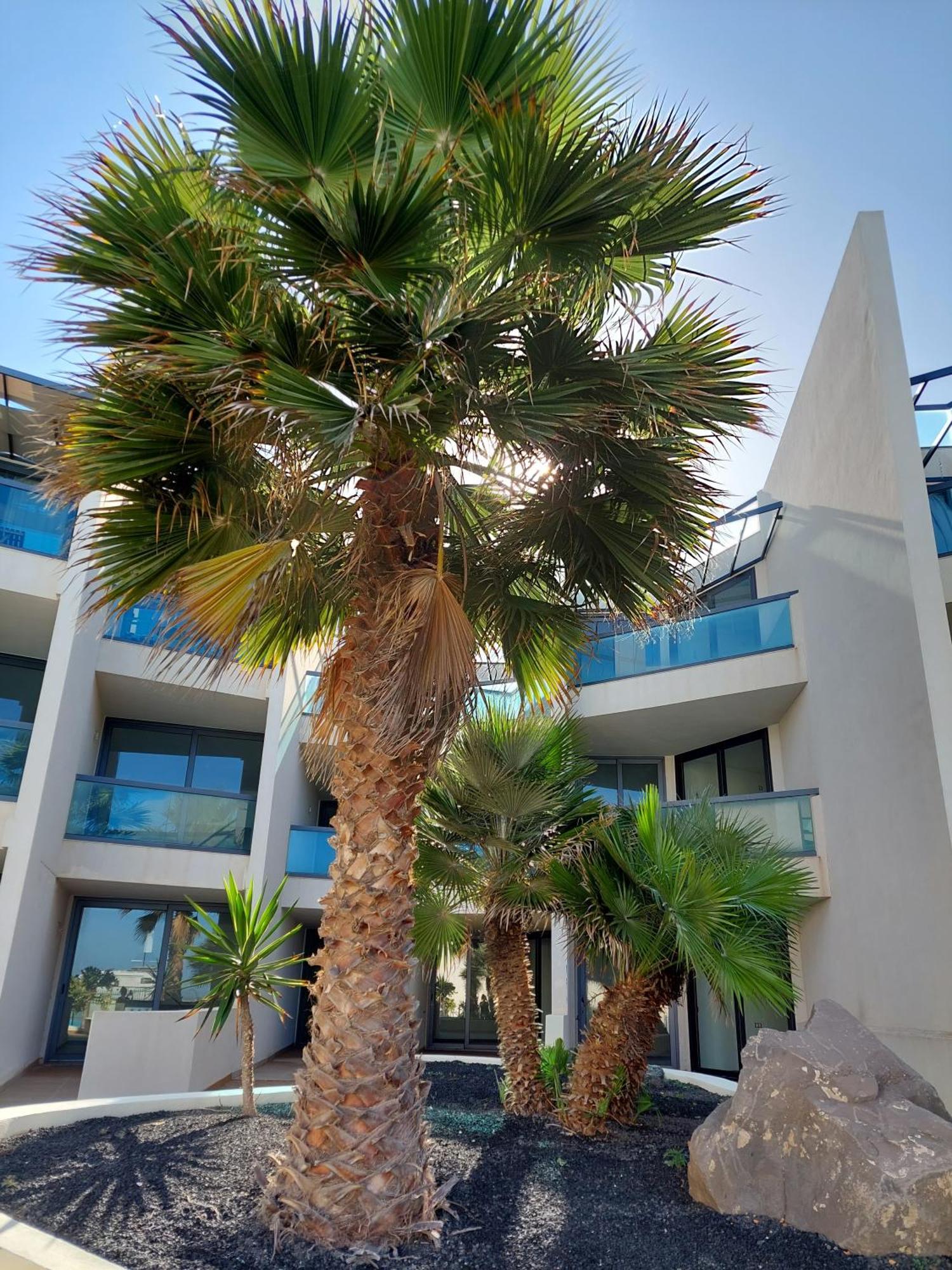 Slow Time Cotillo By Sea You There Fuerteventura El Cotillo (Fuerteventura) Exterior foto